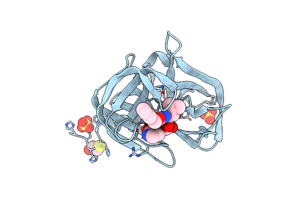 4DCD image