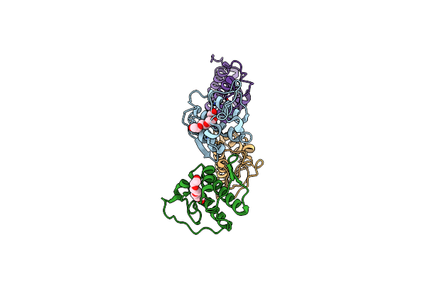 4DCF image