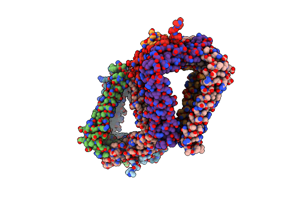 4DCI image