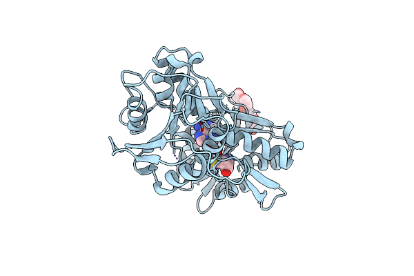 4DCM image