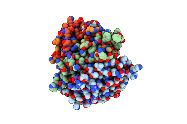 4DCP image