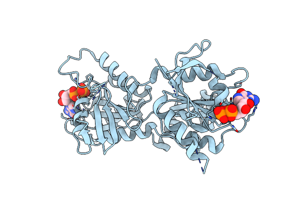 4DCT image