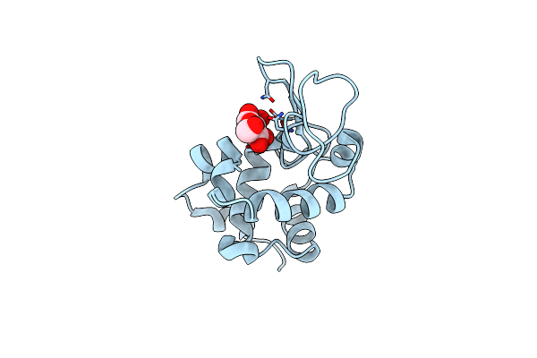 4DDA image