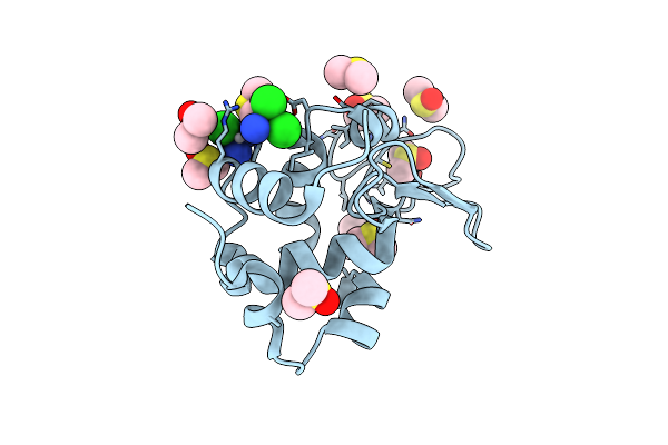 4DDB image