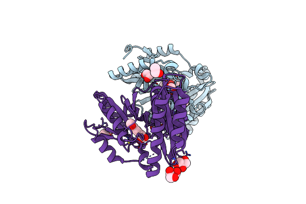 4DDH image