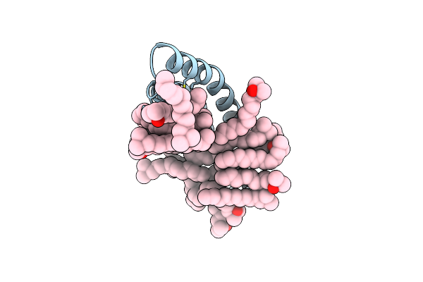 4DDJ image