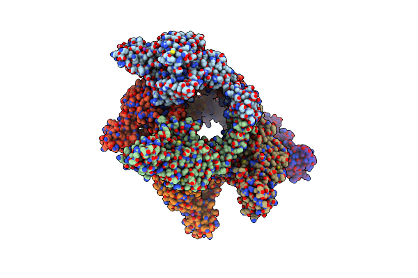 4DDQ image