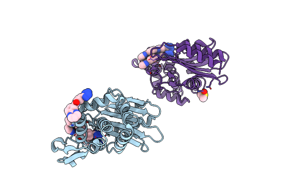 4DDS image