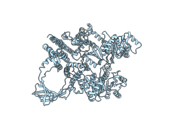 4DDU image