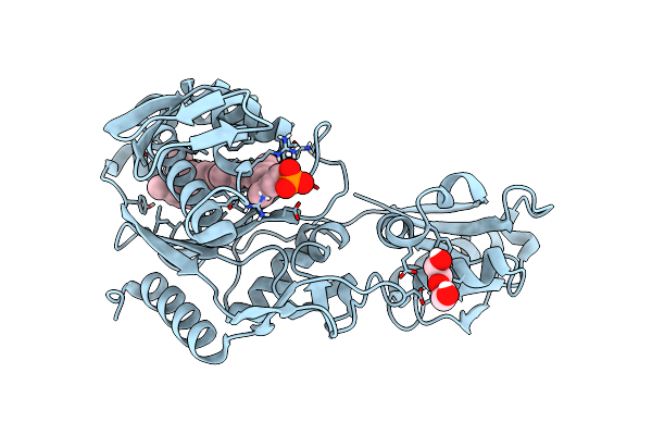 4DE8 image