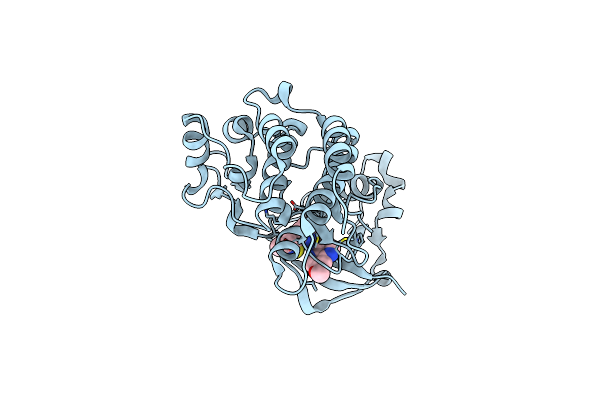 4DEG image