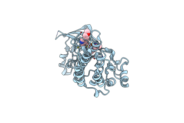 4DEI image