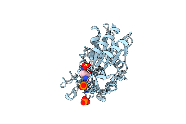 4DF6 image