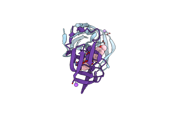 4DFG image