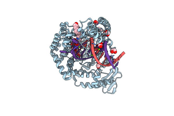 4DFK image