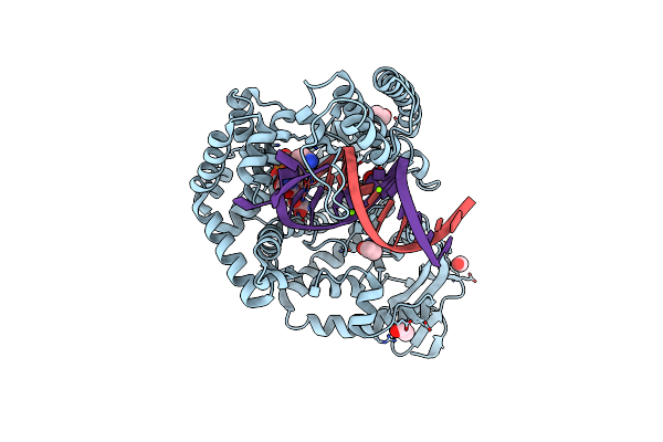 4DFM image
