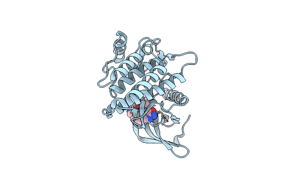 4DFN image