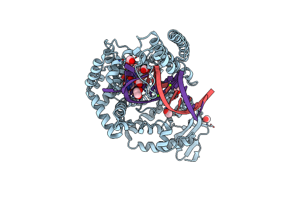 4DFP image