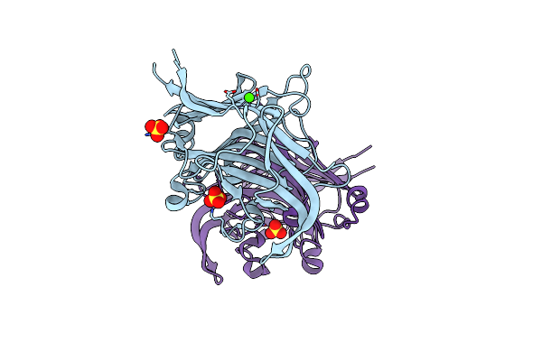 4DFS image