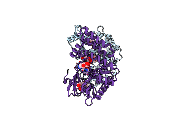 4DFU image