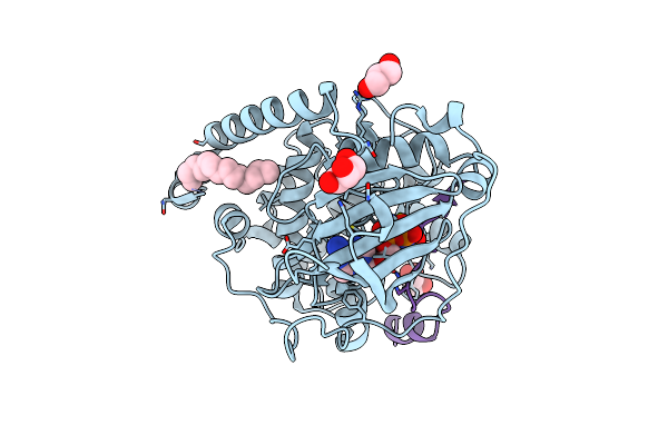 4DFX image