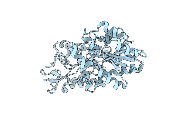 4DG5 image