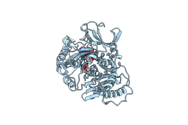 4DG8 image