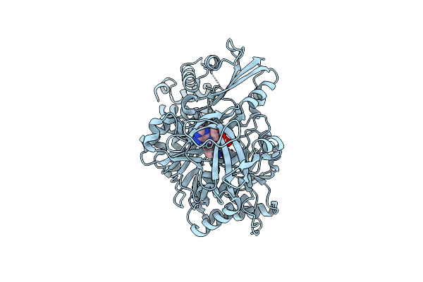 4DG9 image