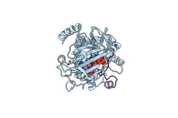 4DH5 image