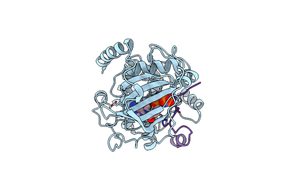 4DH8 image
