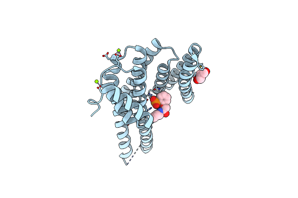 4DHN image