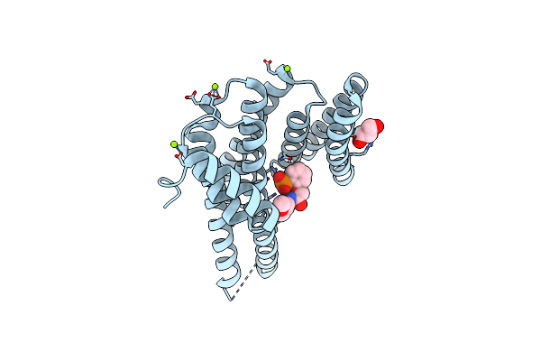 4DHO image