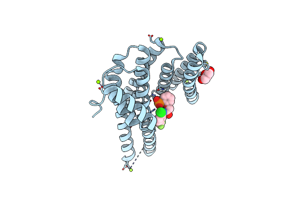 4DHP image