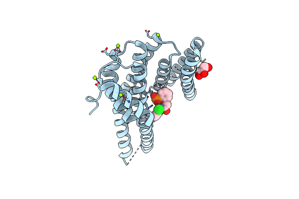 4DHR image