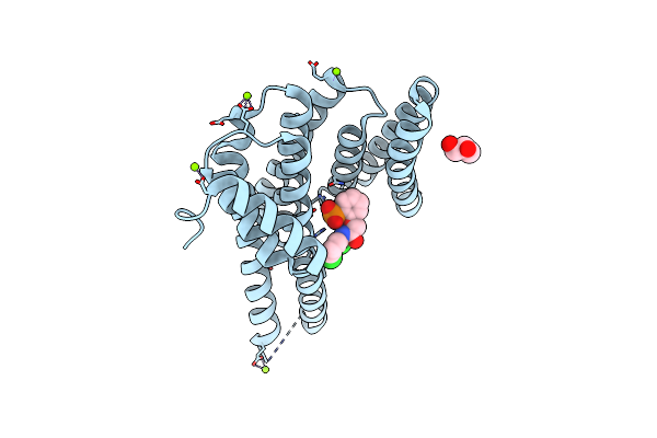 4DHU image
