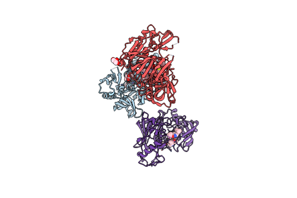4DI2 image