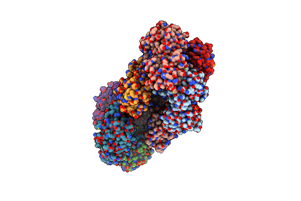 4DIB image