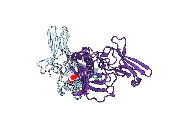 4DIX image