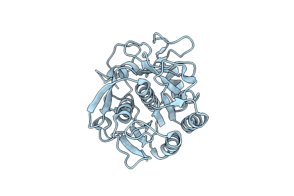 4DJ5 image