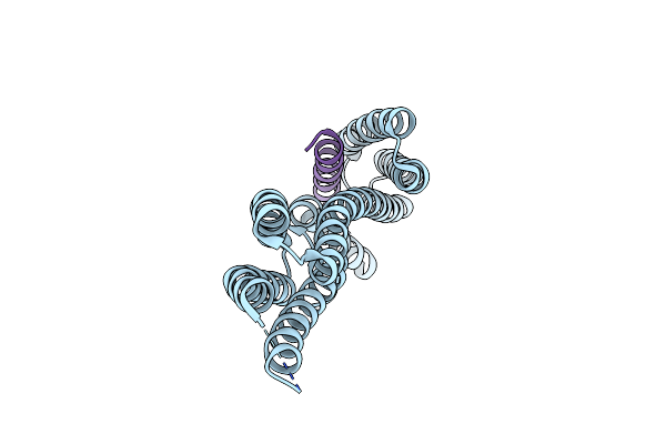 4DJ9 image