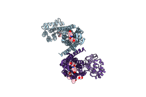 4DJH image