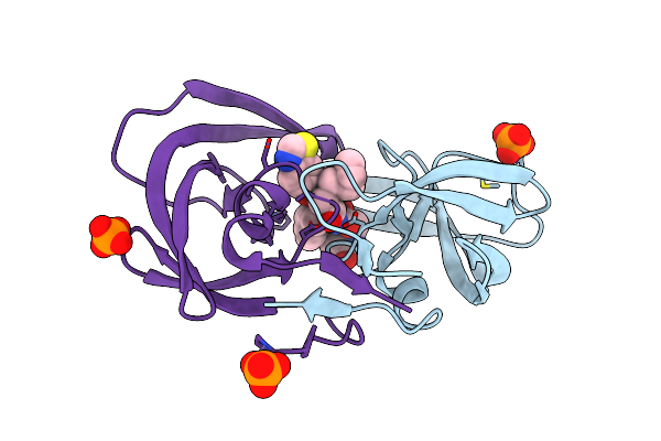 4DJR image