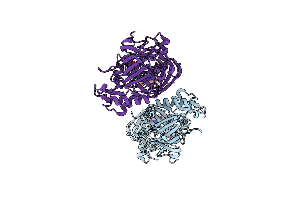4DJX image