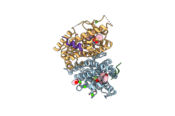 4DK8 image