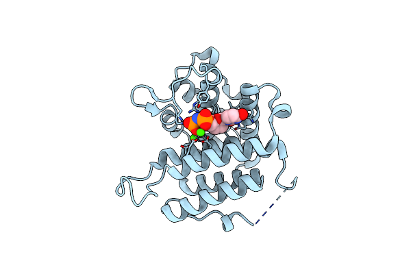 4DKB image