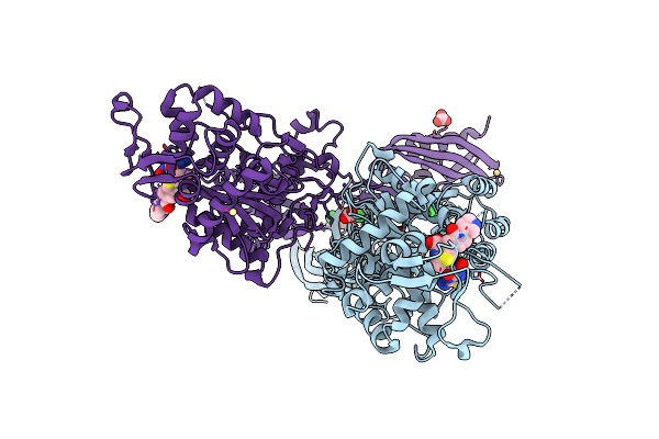 4DKI image