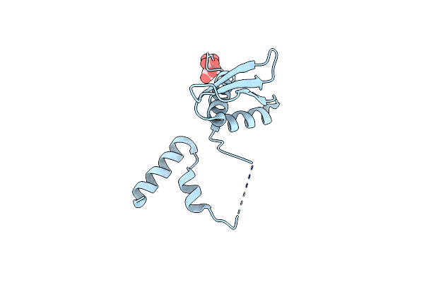 4DKK image