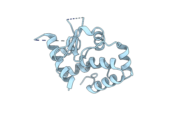 4DKS image