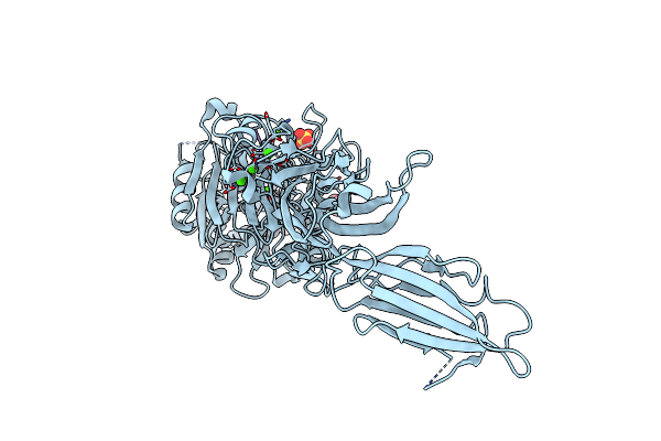 4DKT image