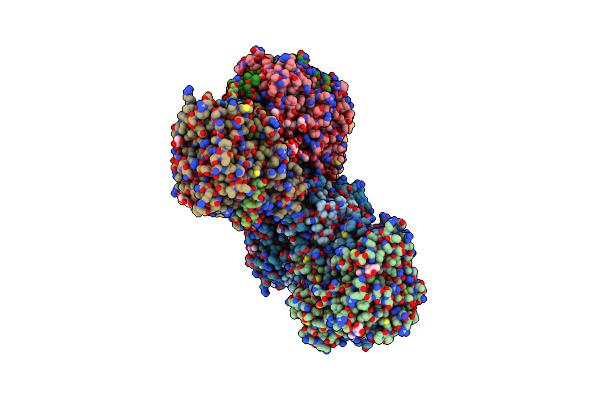 4DL1 image